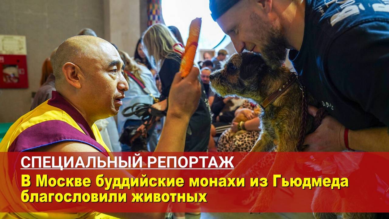 В Москве буддийские монахи из Гьюдмеда благословили животных