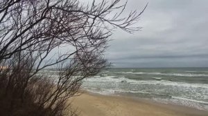 4 января 2024 г.