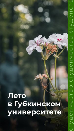 Лето в Губкинском университете