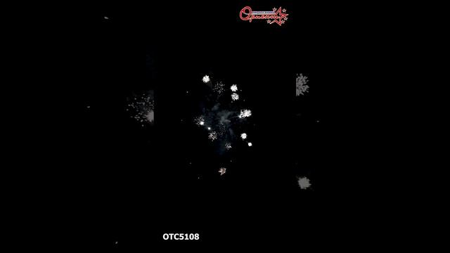 OTC5108 2025г