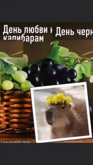 #топ #врек #рек #yappy #тренд #эдит #лайфстайл #music #rec #top #лучшее #подпишись #подписка #лайк #