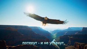 Как Орлы