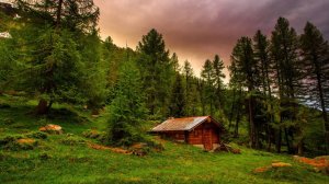 Нейро Музыка/вертикальный вариант/"Баллада о любви"#иузыка#нейро