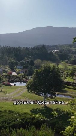 Положительные визуальные переживания