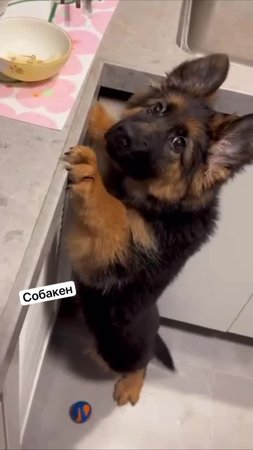 Подпишись 👉 https://vk.com/ykrasheniy_iz_kamny