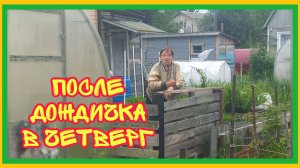 4/7 25 ХОЧЕТСЯ РВАТЬ И МЕТАТЬ. ПОМИДОРЫ НЕ ГЛЯДЯ. НЕ ХОЧУ В БОЛОТЕ ЛЕЖАТЬ. ПОЧТО ВШИРЬ ПРЁТ?