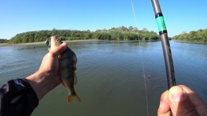 Ловля окуня летом в +35!  Эта приманка ловит в любую погоду!