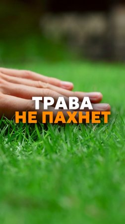 Автономные канализации🚽