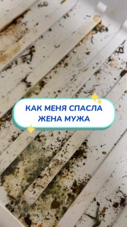 Муж был зол, любовник не помог😱Артикул на WB #234577722💫Ozon #1664064287
