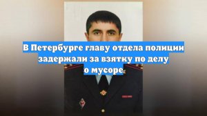 В Петербурге главу отдела полиции задержали за взятку по делу о мусоре