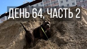 День 64, часть 2
