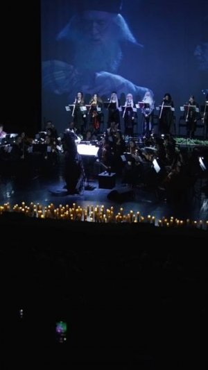 NLLA MUSICA ORCHESTRA «Гарри Поттер и Симфомультимедия»