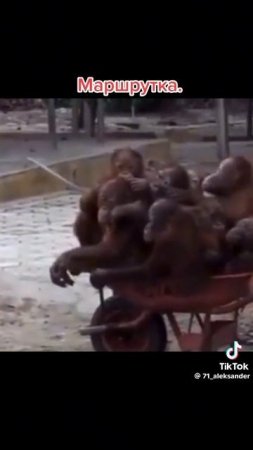 VID-20250712-WA0001