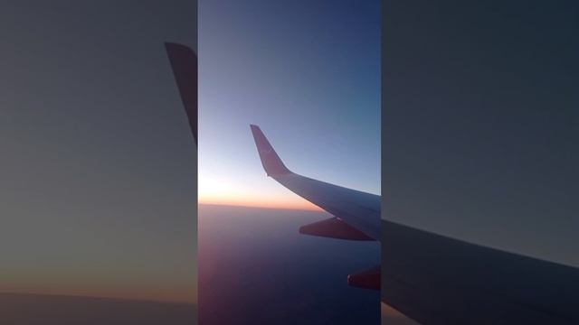 лечу смотреть онлайн