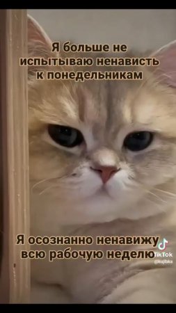 1000054224.mp4