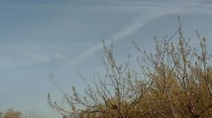 Треугольник и ПЕРЕКРЕСТИЯ -- ДВА !) БЛАГОДАРЮ , ⭐️ОМУТ⭐️