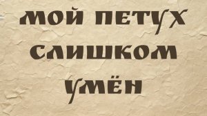 Мой петух слишком умён (Чили Донелла)