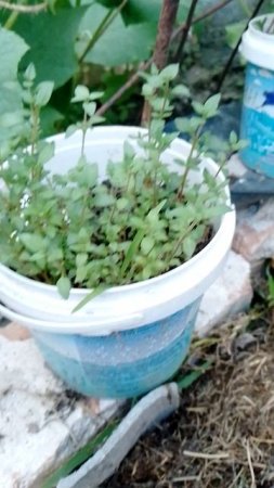нам очень хотелось увидить результат