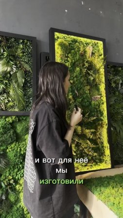 Картина из мха и растений в раме с подсветкой