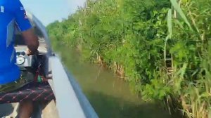 На моторной лодке к лотосам у станицы Голубицкая