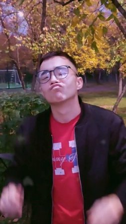 Типо подкат (дешёвый)