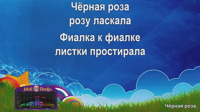 Чёрная роза (караоке)