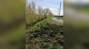 Участок у реки Тура