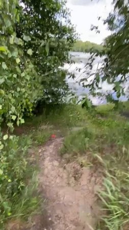 #вид #давыдово #ореховозуево #квартира #озеро https://www.cian.ru/sale/flat/319505627/