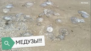 Медузы на пляже в Крыму! Керчь, село Курортное сегодня 12 июля 2025. Погода в Крыму сейчас.