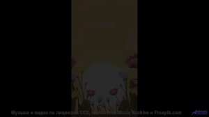 Просто включи -  это видео говорит голосом планеты - tribute to eddy -- Jean Toba -- a land where th