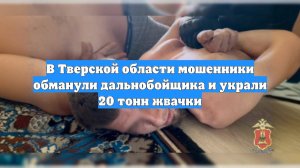 В Тверской области мошенники обманули дальнобойщика и украли 20 тонн жвачки