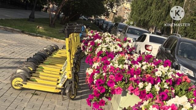 Открытки Новосибирска