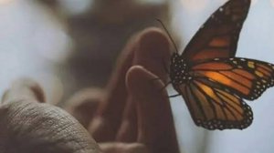 Истории из жизни|Не та беременность|Аудио рассказы|Аудиокниги слушать онлайн|Жизненные истории