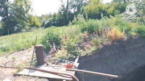 Жара за 40 свиньи начинают погибать, настроил капельный полив в свинарнике.