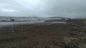 ПЕСНЬ О БУРЕВЕСТНИКЕ