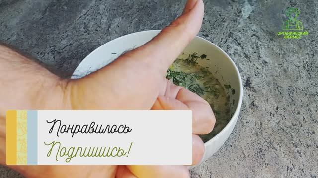 окрошка