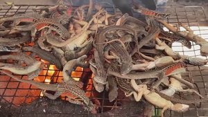 Ящерица-бабочка с вкусными рецептами особенная ящерица на гриле