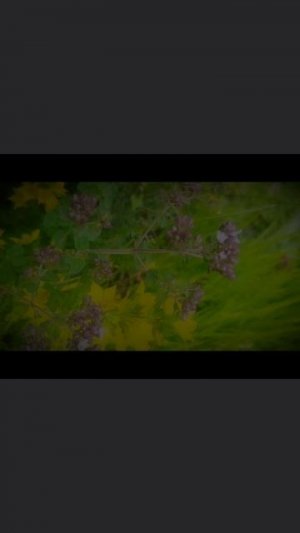 2025-07-12