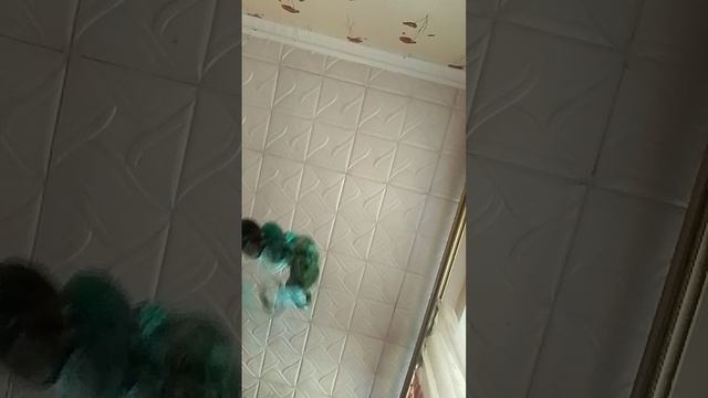 активируем украшение камни