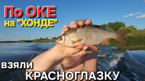 🔥Плыли 10 км на надувной "ХОНДЕ" - поймали ОДНУ КРАСНОГЛАЗКУ🔥 ОКА и ржачная рыбалка.Июль-2025 !!!