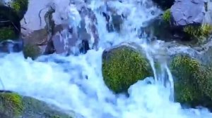 ЗВУКИ ПРИРОДЫ Журчание воды пение птиц ШУМ ГОРНОГО ВОДОПАДА РЕКИ