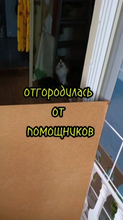 Отгородилась от помощников.
