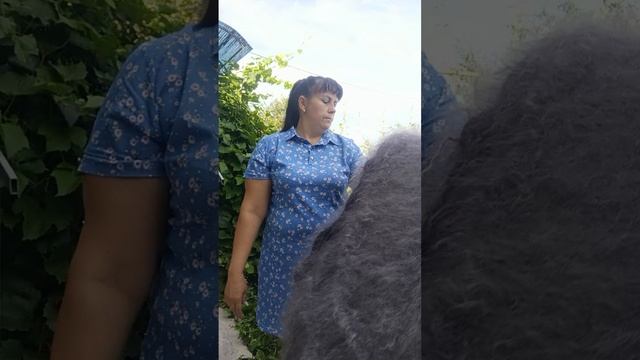 1000177085.mp4 Пуховые изделия у Ольги из Волгоградской области.т.89020931602 смотреть онлайн