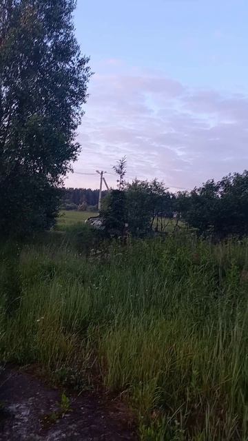 Снимаем в золотой час - начало