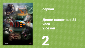 Дикие животные 24 часа 2 сезон 2 серия «Бразилия — смертельный рай» (документальный сериал, 2015)