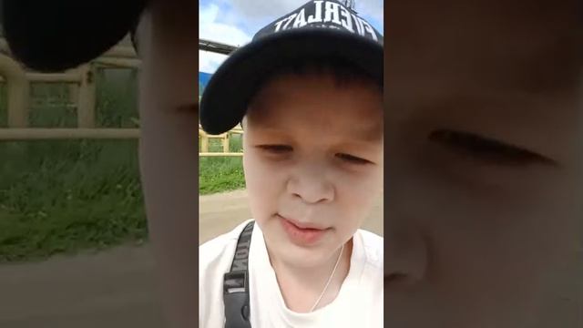 стим би лайк