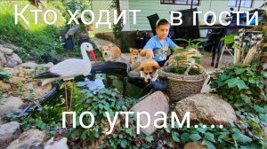 Влоги с ЮГА 🌞 Кто ходит в гости по утрам, тот поступает мудро ☝🏼 Рецепт огурчиков по-корейски 🥒🌶