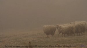 Мелодия двигает облака прямо на ваших глазах - The False Copernican Principle -- Ov Moi Omm -- Unnam
