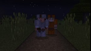 НИНДЗЯМЕНЫ/3 СЕРИЯ