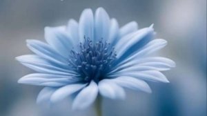 Желаю тебе всего самого прекрасного 🌻